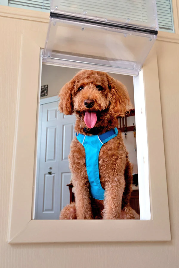 Guard Dog Pet Door - Image 2